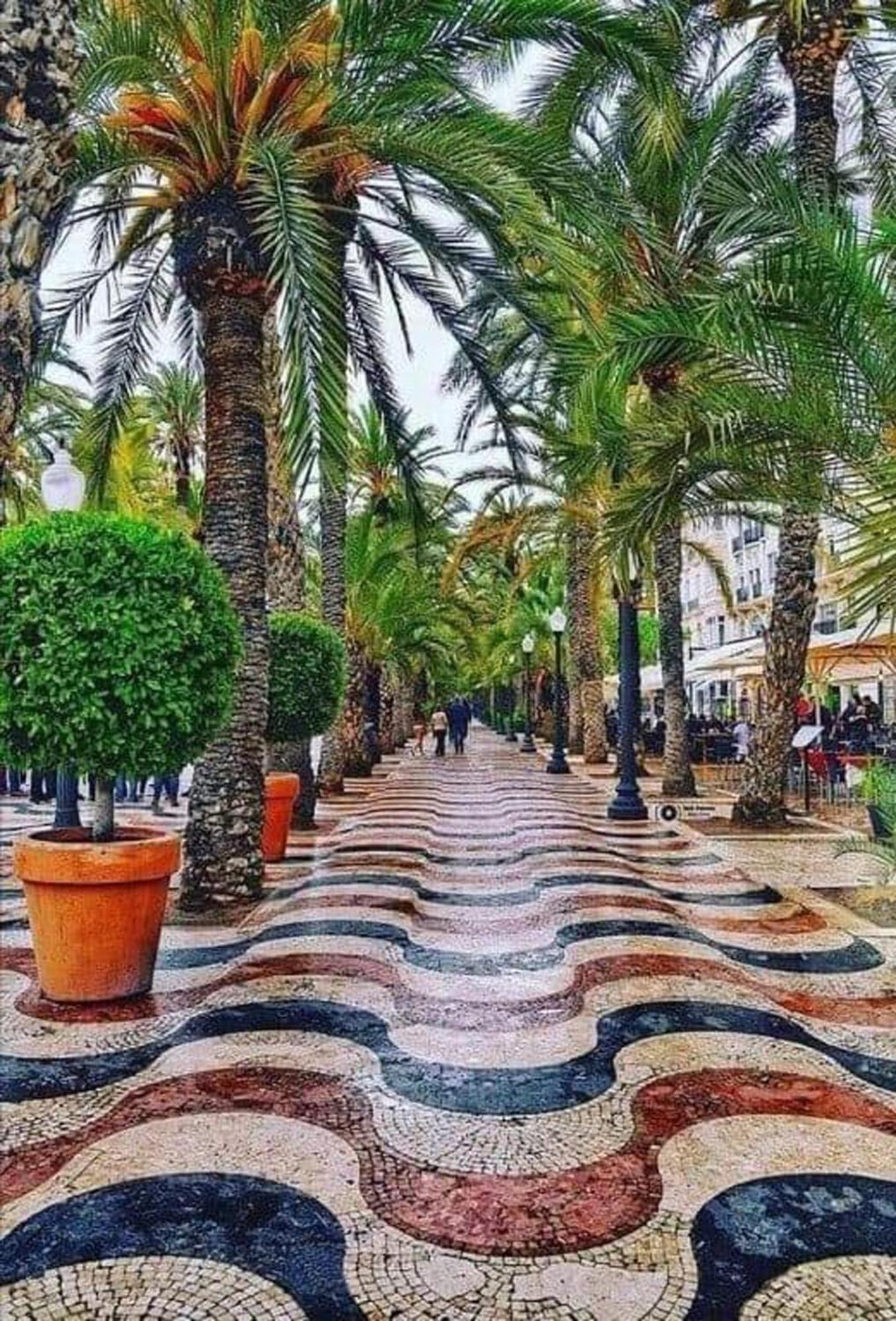 -Saint Thomas- Alicante Old Town Экстерьер фото